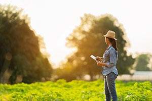 DOL: Final Rule to Modernize Temporary Agricultural Labor Certification Program DOL: Final Rule to Modernize Temporary Agricultural Labor Certification Program