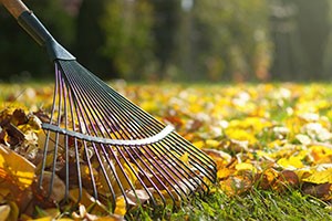 Rake Leaves the Injury-Free Way Rake Leaves the Injury-Free Way