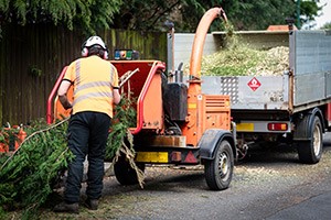Using a Wood Chipper? Read This for Eleven Tips on Safe Use Using a Wood Chipper? Read This for Eleven Tips on Safe Use