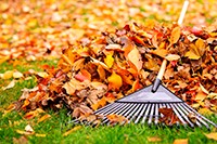 Six Safety Tips for Raking Leaves