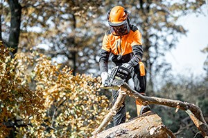 15 Tips for Safer Chainsaw Use 15 Tips for Safer Chainsaw Use