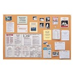 Shop Corkboard and Bulletin Boards