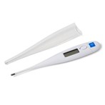 Shop Thermometers