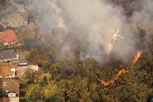 Advice to Keep You Safe if Wildfires Strike