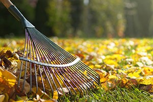 Rake Leaves the Injury-Free Way