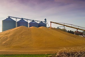 Reducing the Dangers in Grain Handling