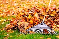 Six Safety Tips for Raking Leaves 