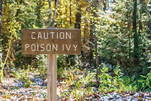 Poisonous Plant Awareness