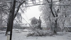 Know How to Stay Safe in Harsh Winter Weather