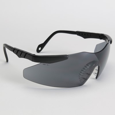 smith and wesson mini magnum safety glasses