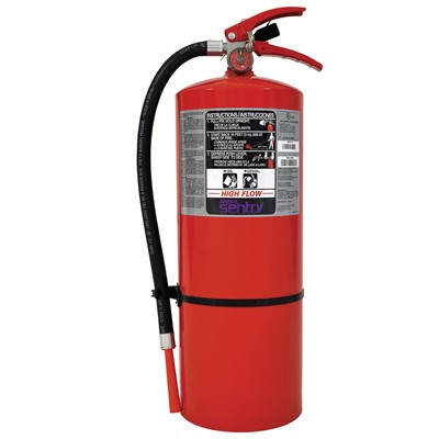 超希少日本製NIRVANA Fire Extinguisher Laura002 NIRVANA / FIRE EXTINGUISHER : 無駄遣いな日々