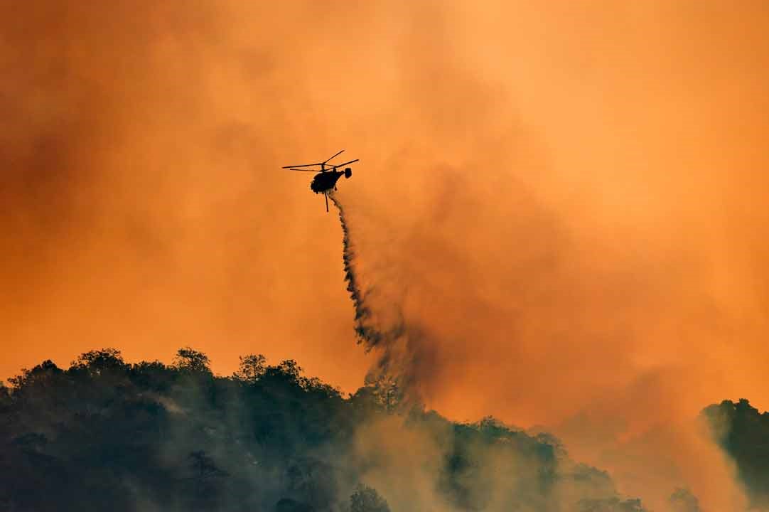 Wildfire 