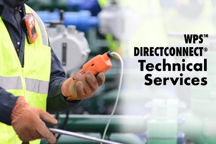 WPS™ DirectConnect® Technical Services